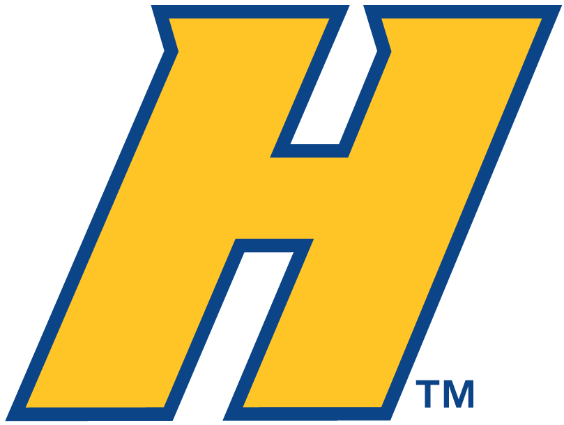 Hofstra Pride 2005-Pres Alternate Logo 01 vinyl decal